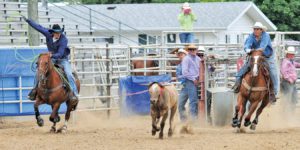Shawn Tennant (header), Elkhart County Fair rodeo in Goshen, Ind. July 2013 - Rayne Sherman